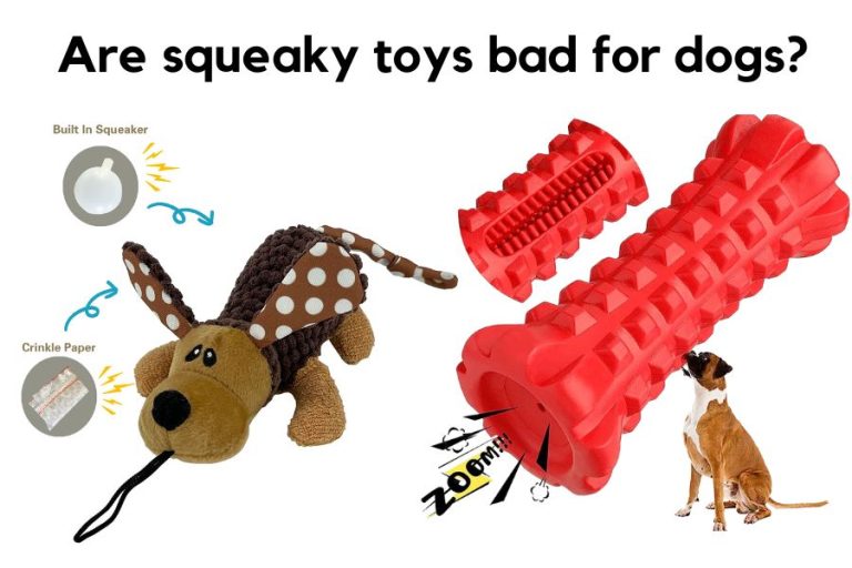 Are Squeaky Toys Bad For Dogs