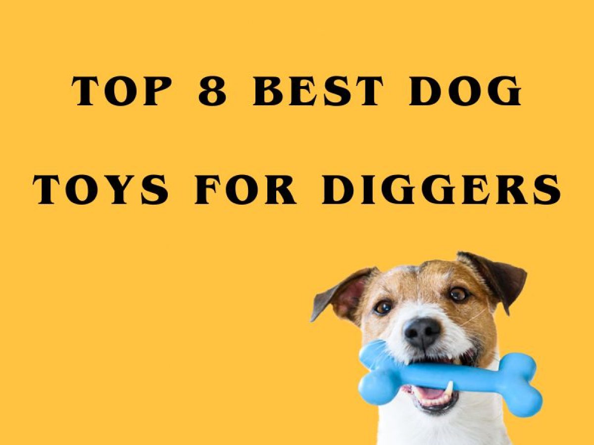 digging toy for dogs｜TikTok Search