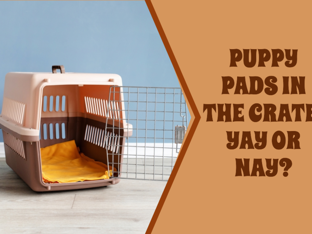 Do i put outlet puppy pads in crate